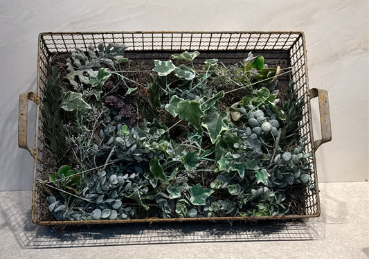 Handled Tray  Basket