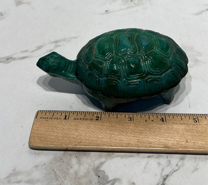 Covered Turtle