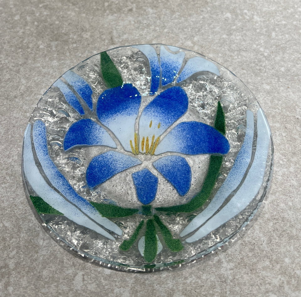 Sydenstriker Plate