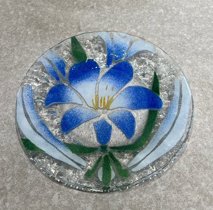 Sydenstriker Plate
