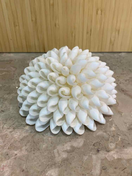 Shell