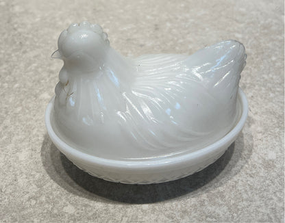 Hen on Nest