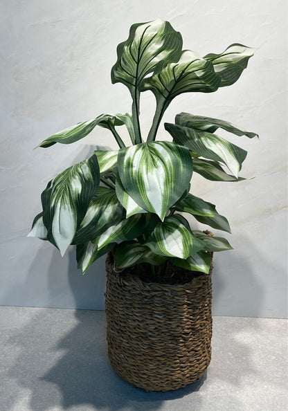Aritfical Decor