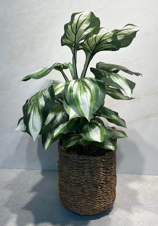 Aritfical Decor