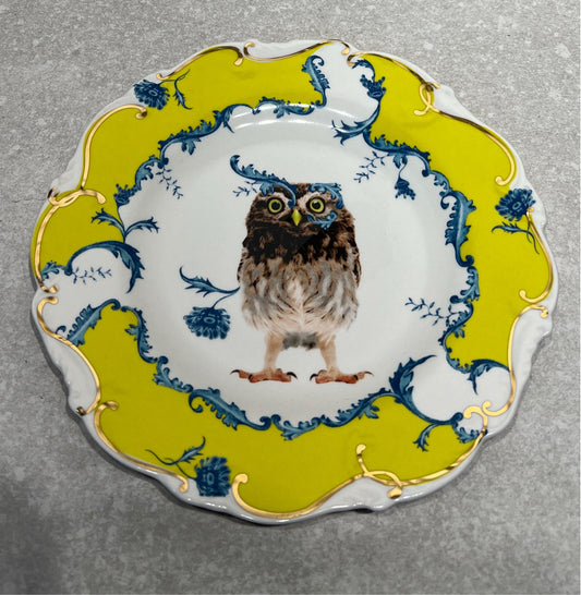 Anthropology Owl Plate