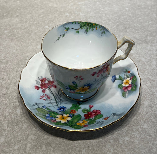 Cup and Saucer