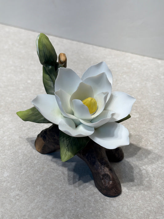 Glass Flowers