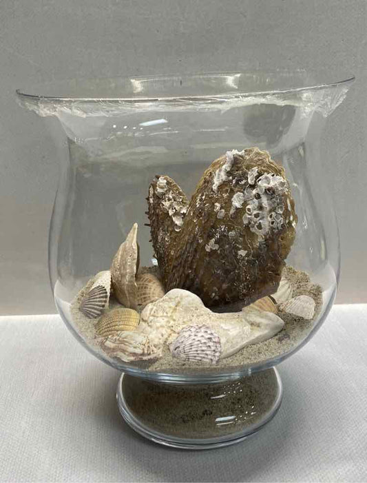 Vase with Shells