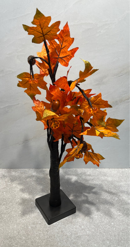 Lighted Tree