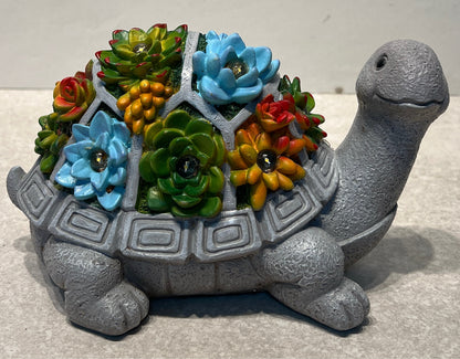 Turtle Decor