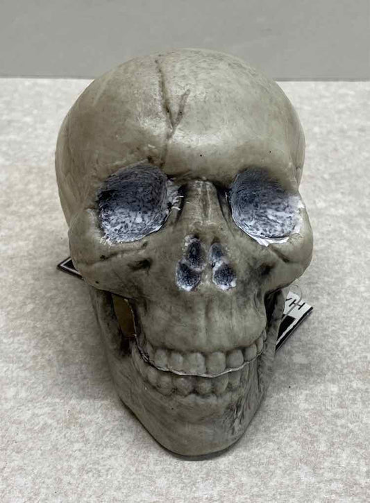 Skeleton Head