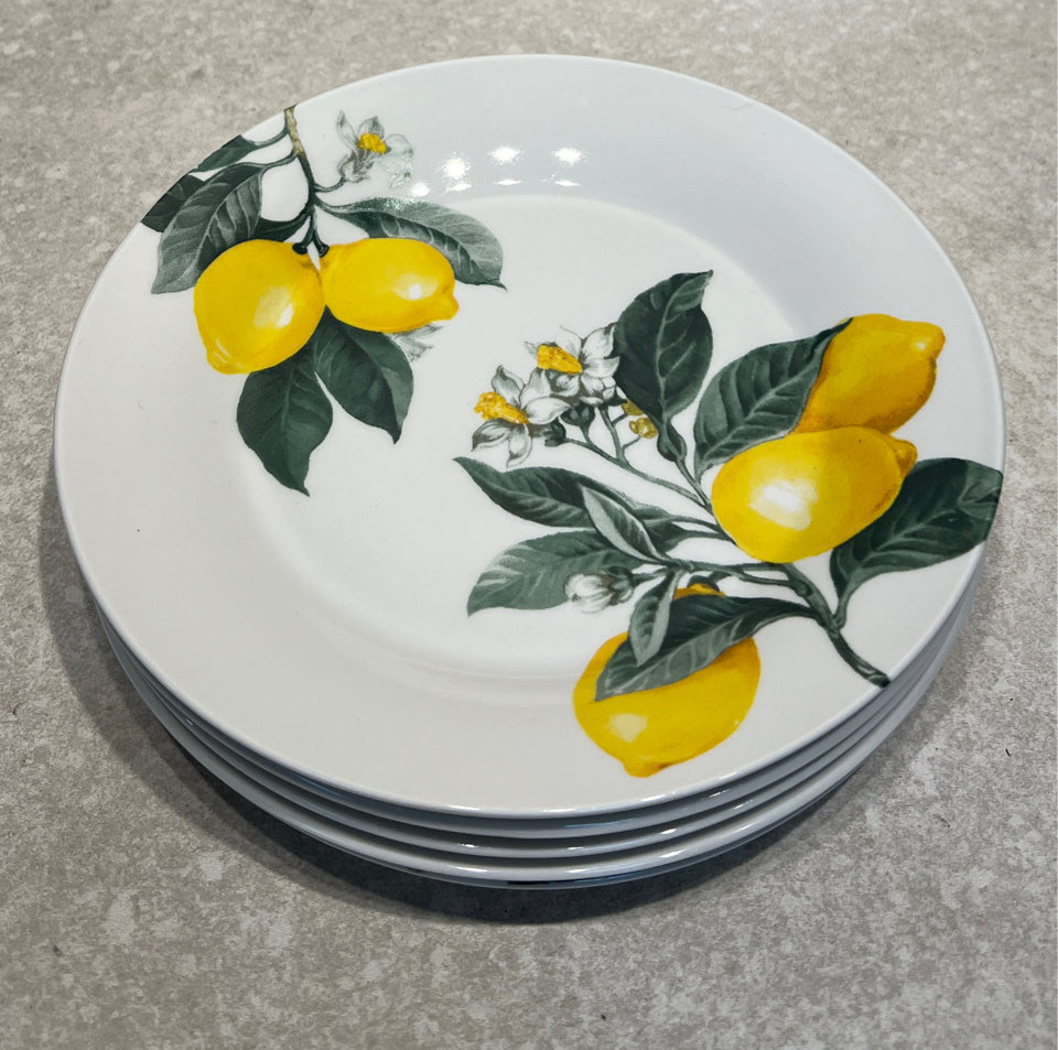 Set of 5 Plates
