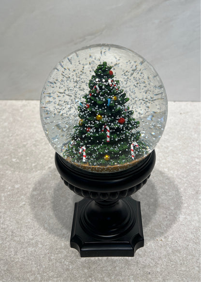 Snowglobe