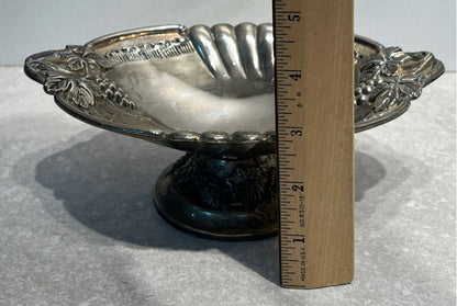 Dish