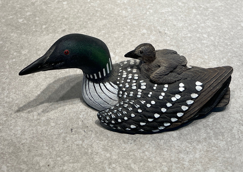 Loon with Chick