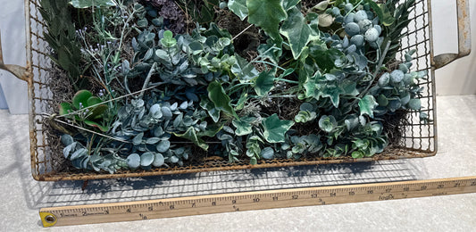 Handled Tray  Basket