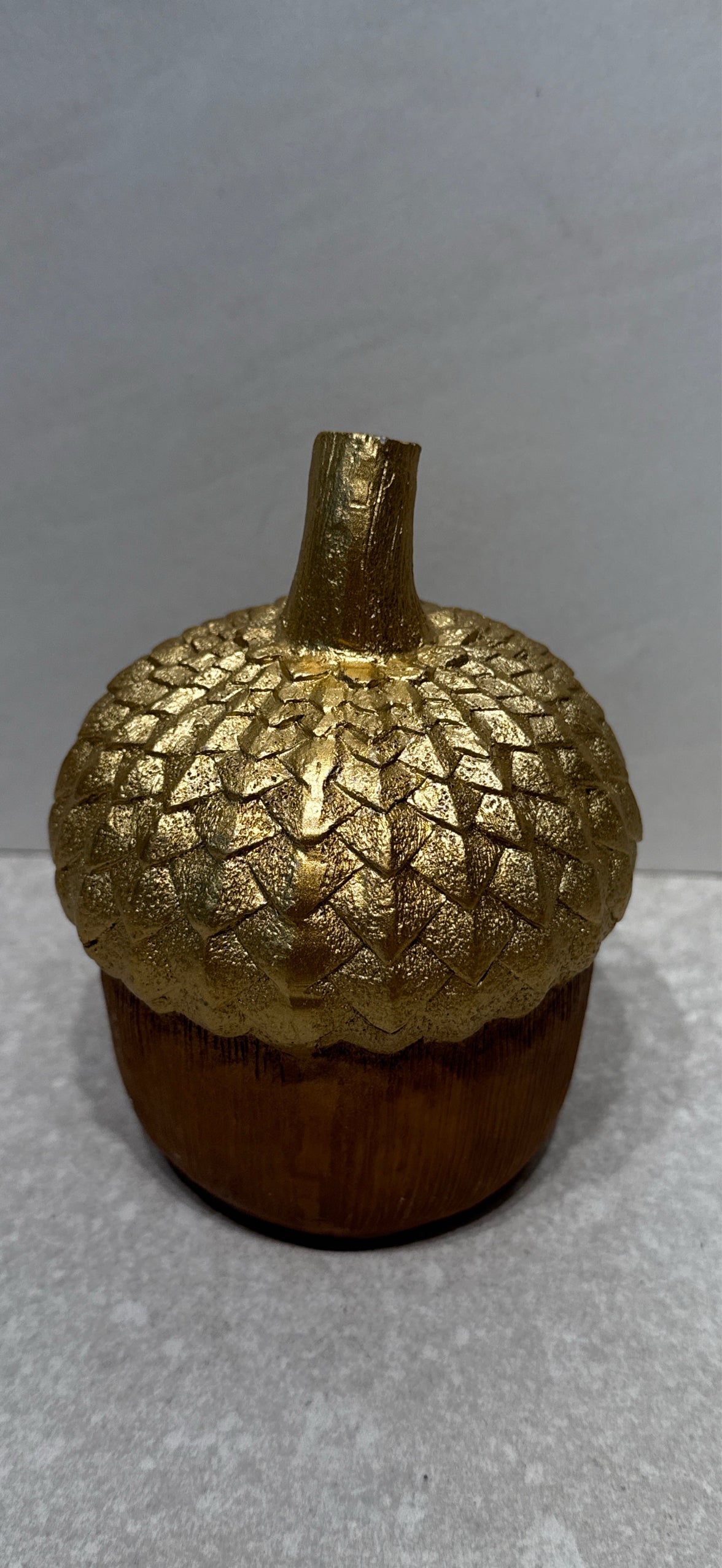 Acorn
