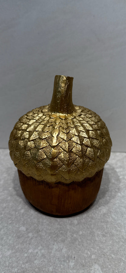 Acorn