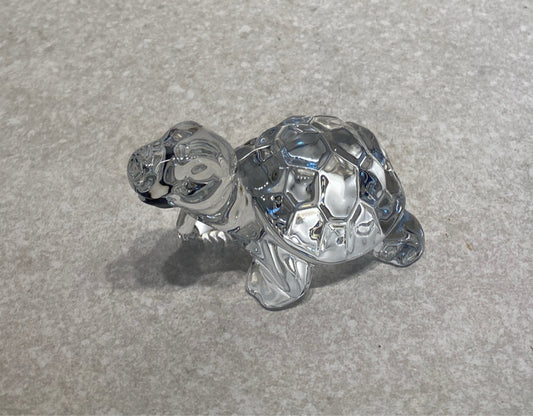 Glass Turtle