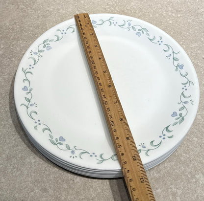 Set of 11 Corelle Dinner Plates
