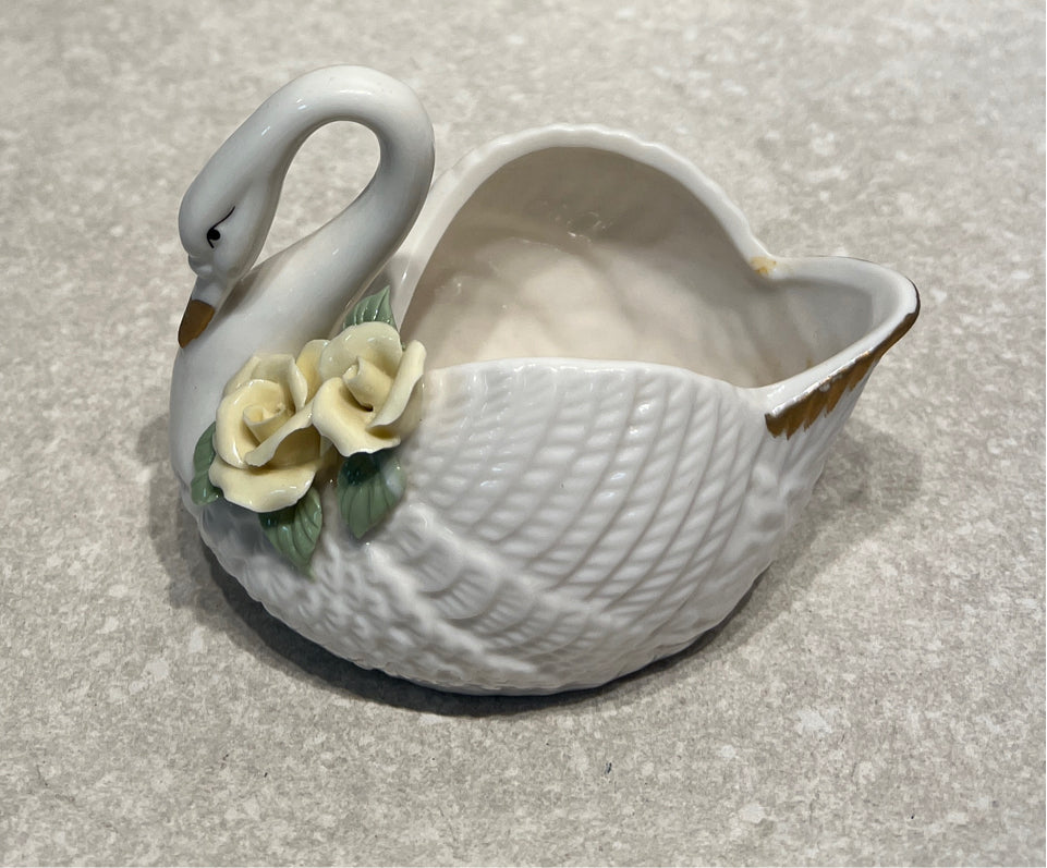Swan
