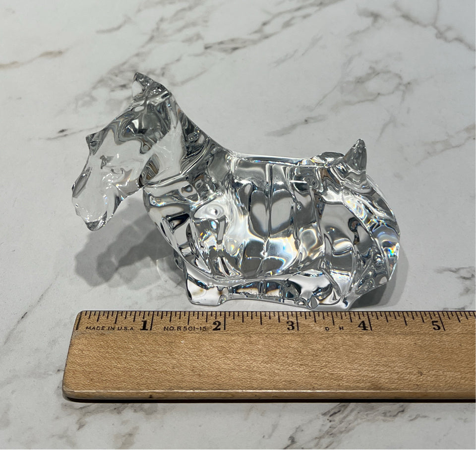 Baccarat Dog