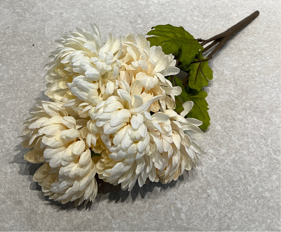 Flower Pic