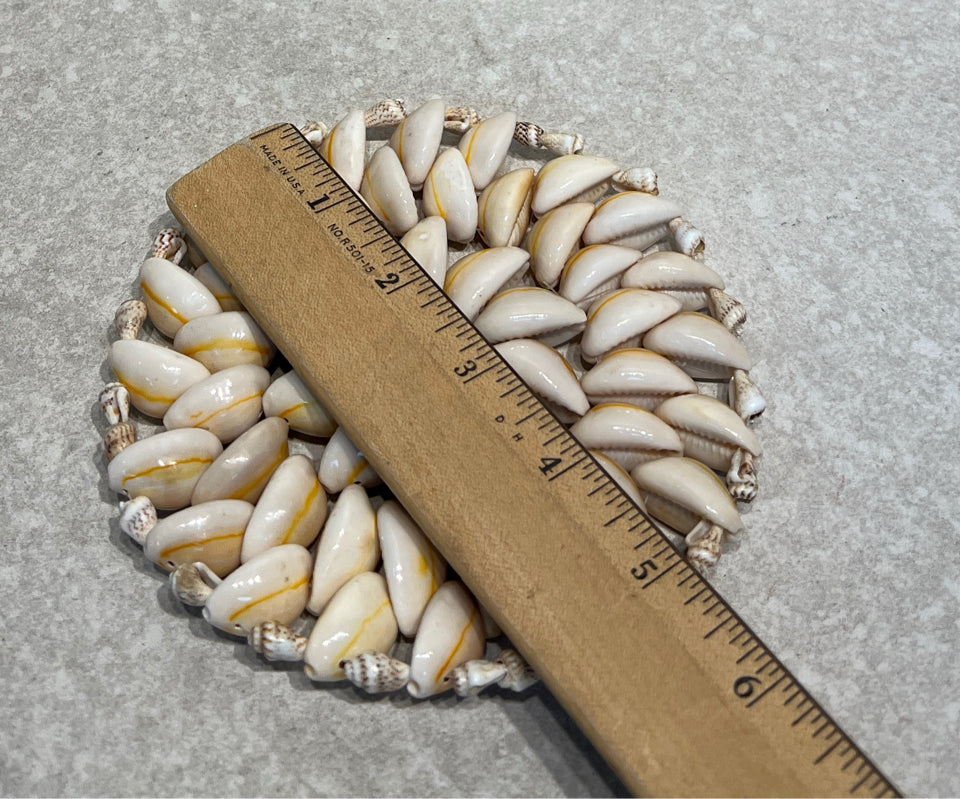 Shell Decor