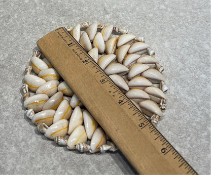 Shell Decor