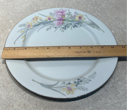 Set of Dishes