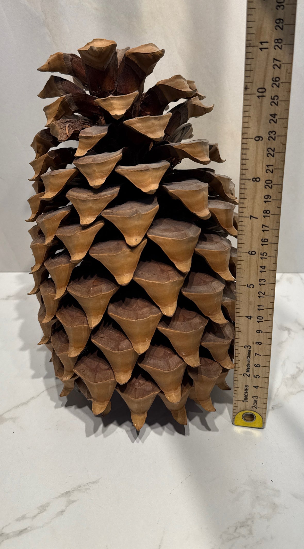 Pinecone Decor