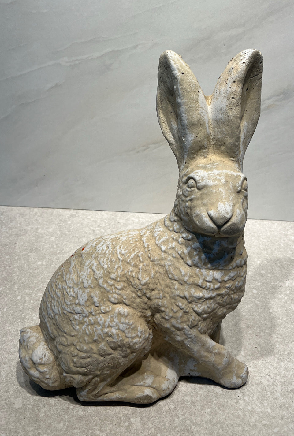 Cement Rabbit