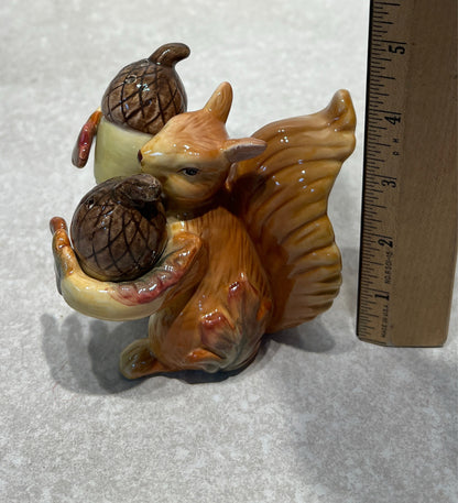 Squirrel S + P