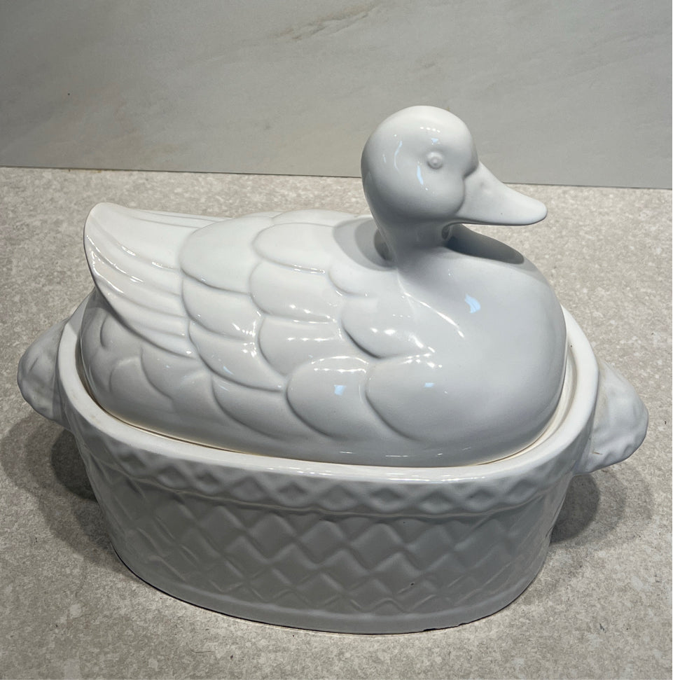 Covered Duck