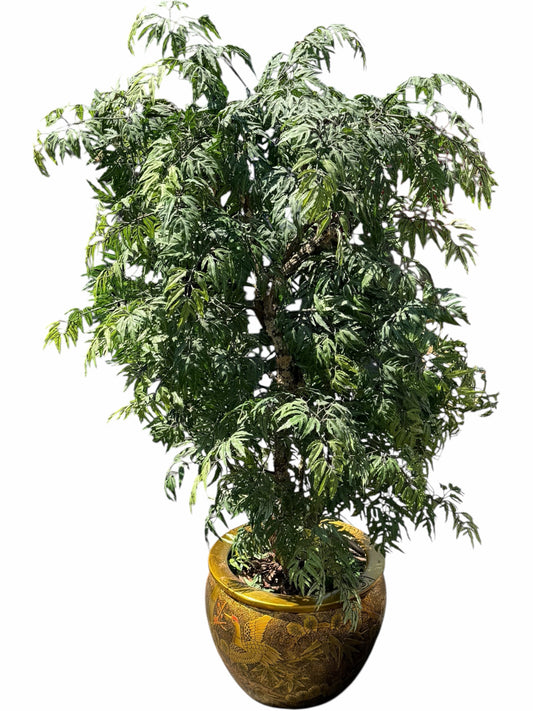 Planter