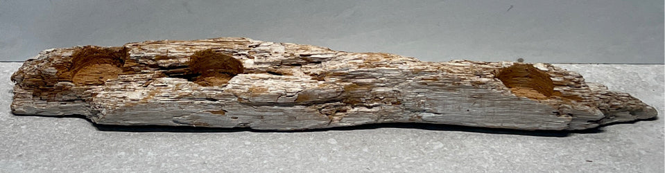 Driftwood Candleholder