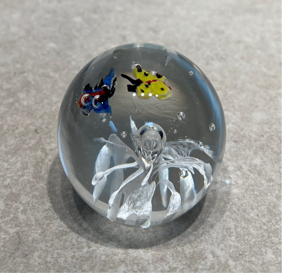 Paperweight