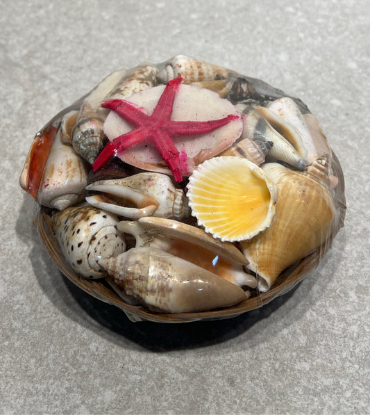 Shells