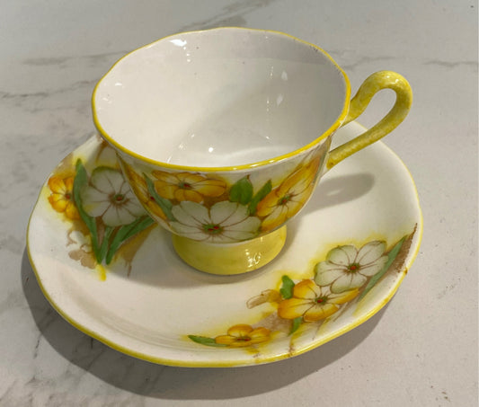 Cup And Saucer