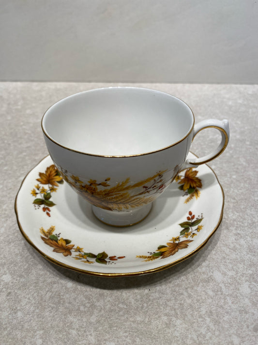 Cup And Saucer