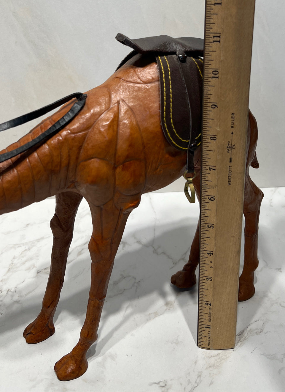 Camel