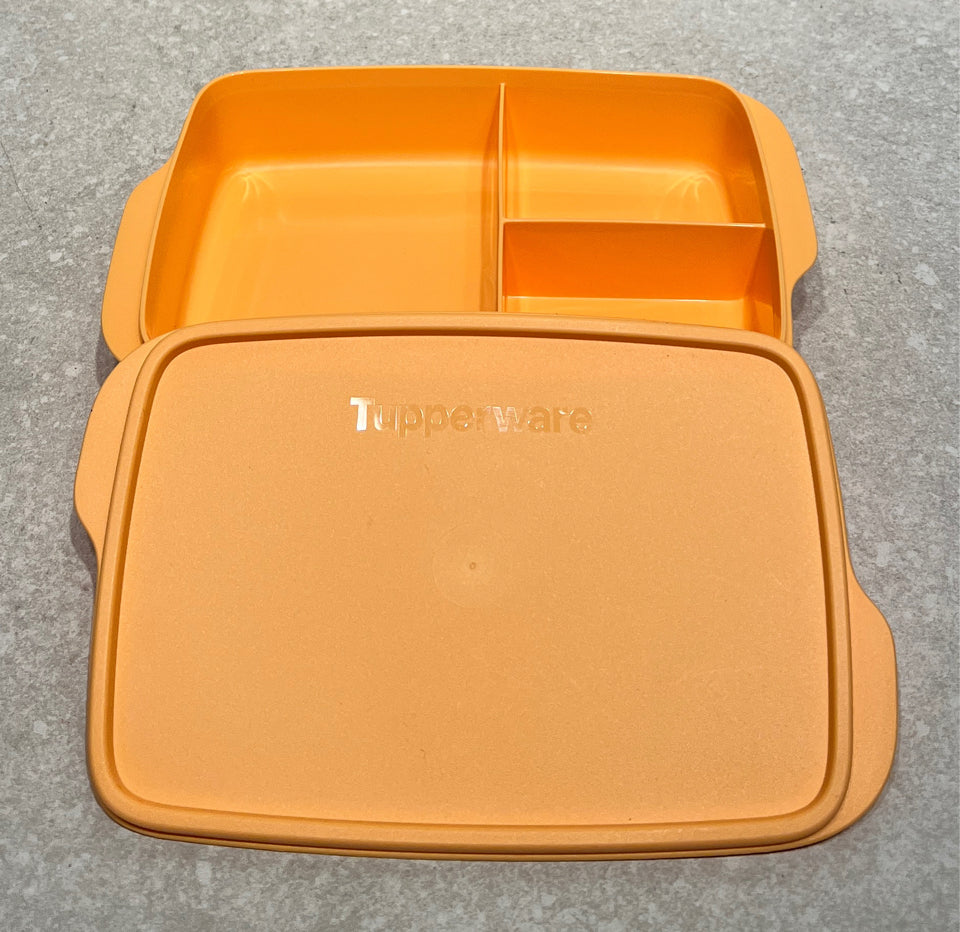 Tupperware Continer