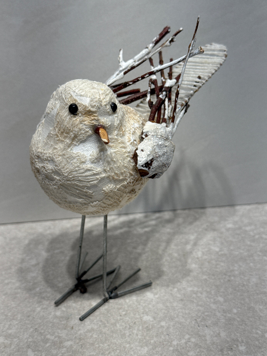Bird