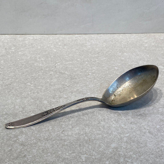 Kitchen Utensil