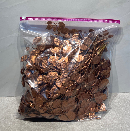 Lot of Christmas Pics