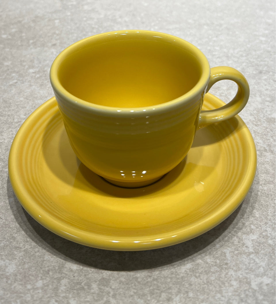 Fiesta Cup and Saucer