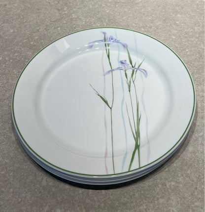 Set of 5 Corelle Dinner Plates