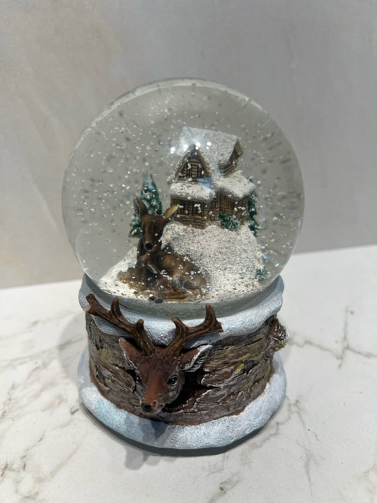 Snowglobe
