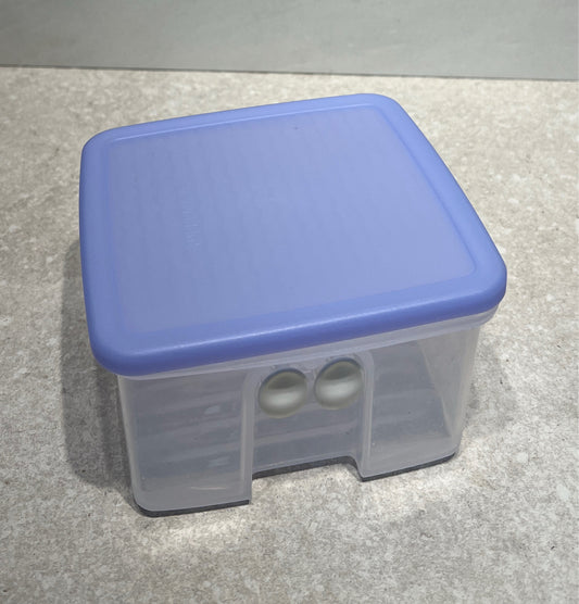 Tupperware Container