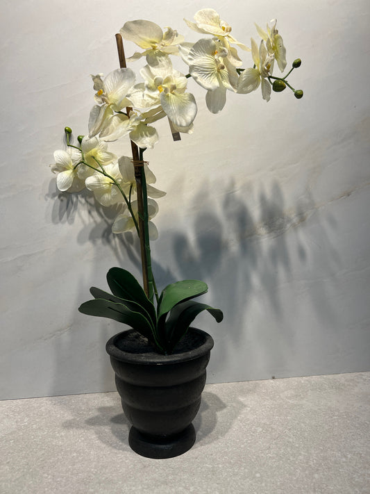 Floral Decor